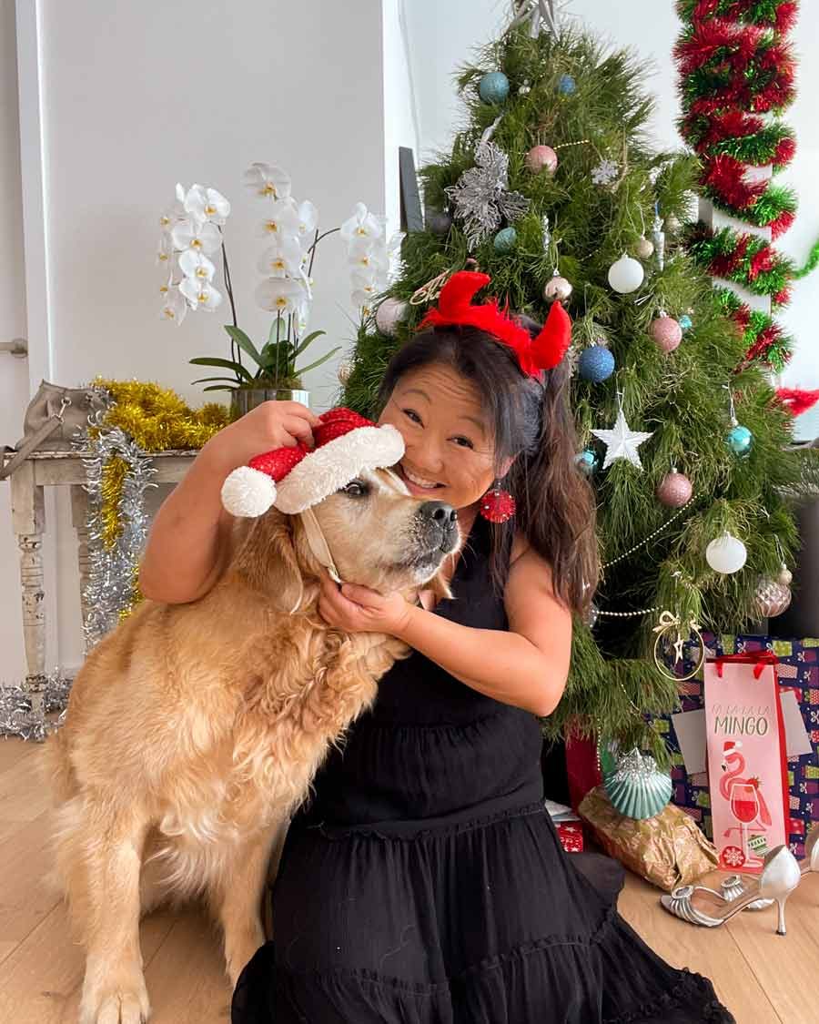 nagi-dozer-christmas-2021-12