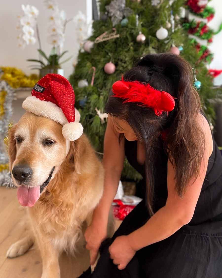 nagi-dozer-christmas-2021-17