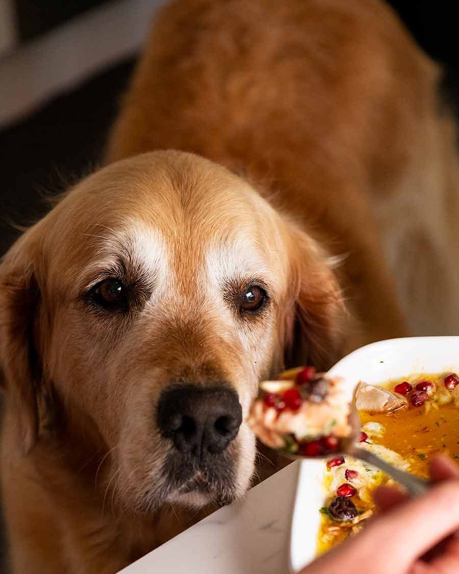 dozer-christmas-baked-salmon Dozer Christmas Baked Salmon