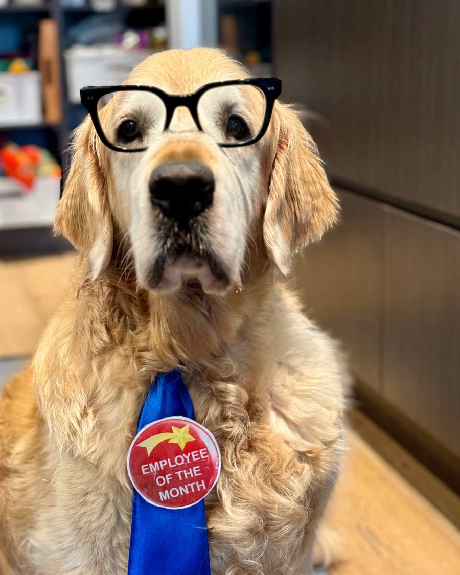 dozer-employee-of-the-month