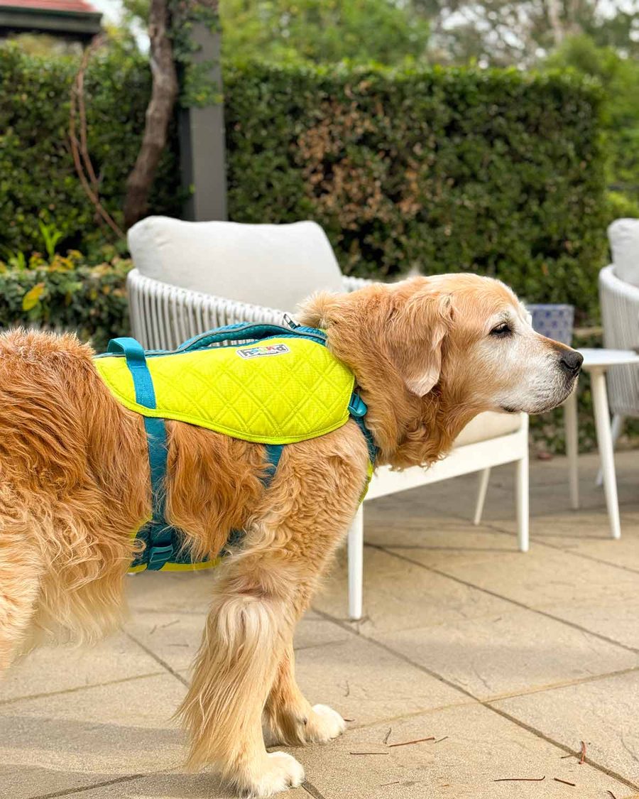 dozer-high-performance-life-jacket