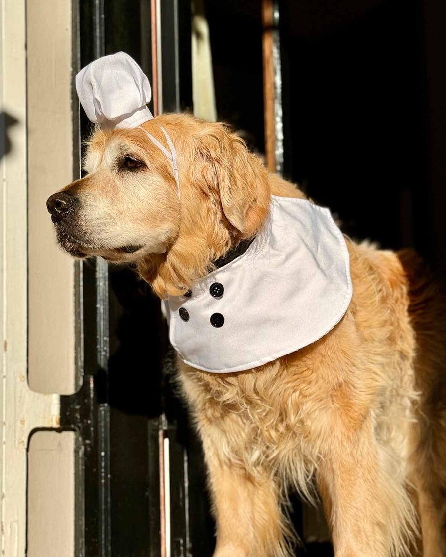 dozer-in-chefs-outfit-july-2024