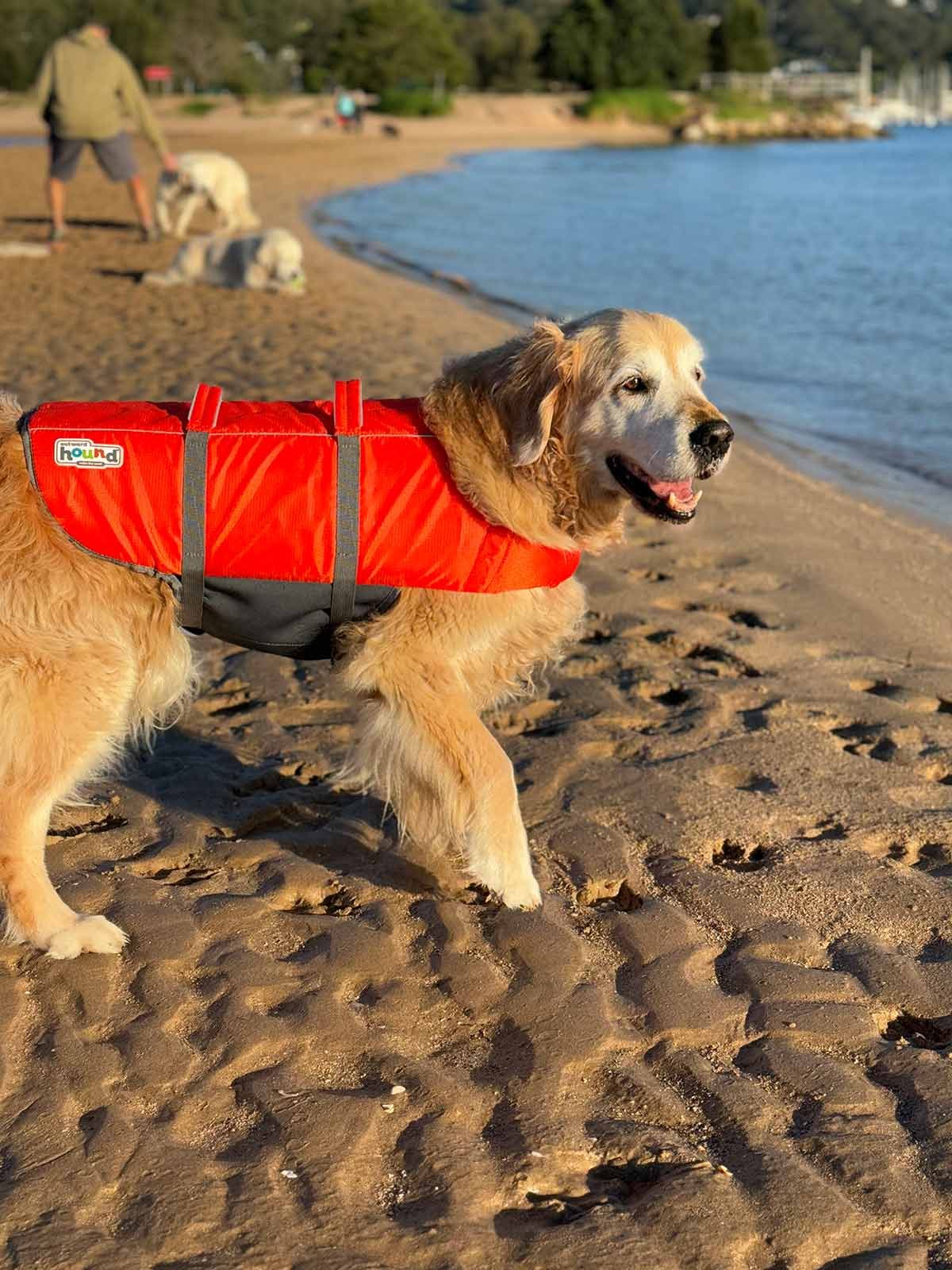 dozer-life-jacket-2 Dozer life jacket