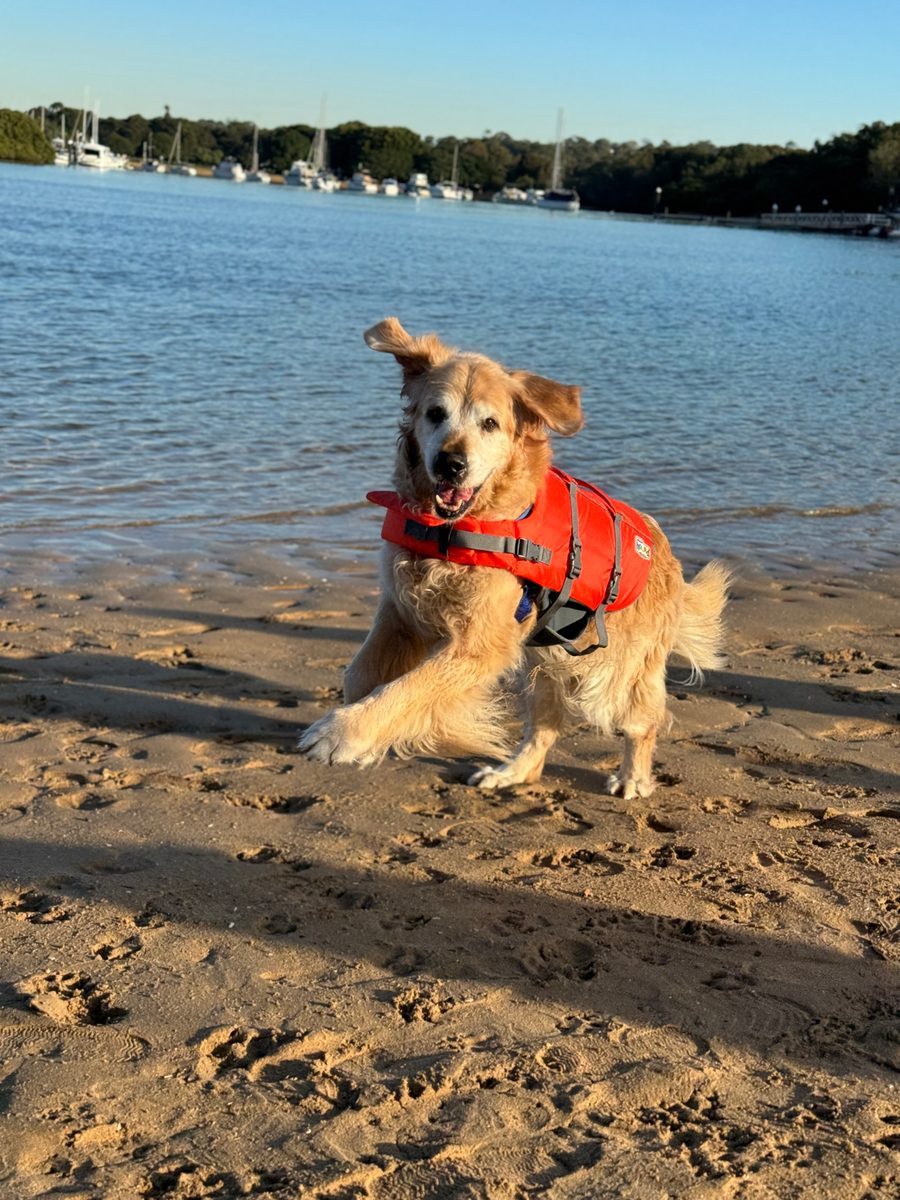 dozer-life-jacket-bayview-scaled-1