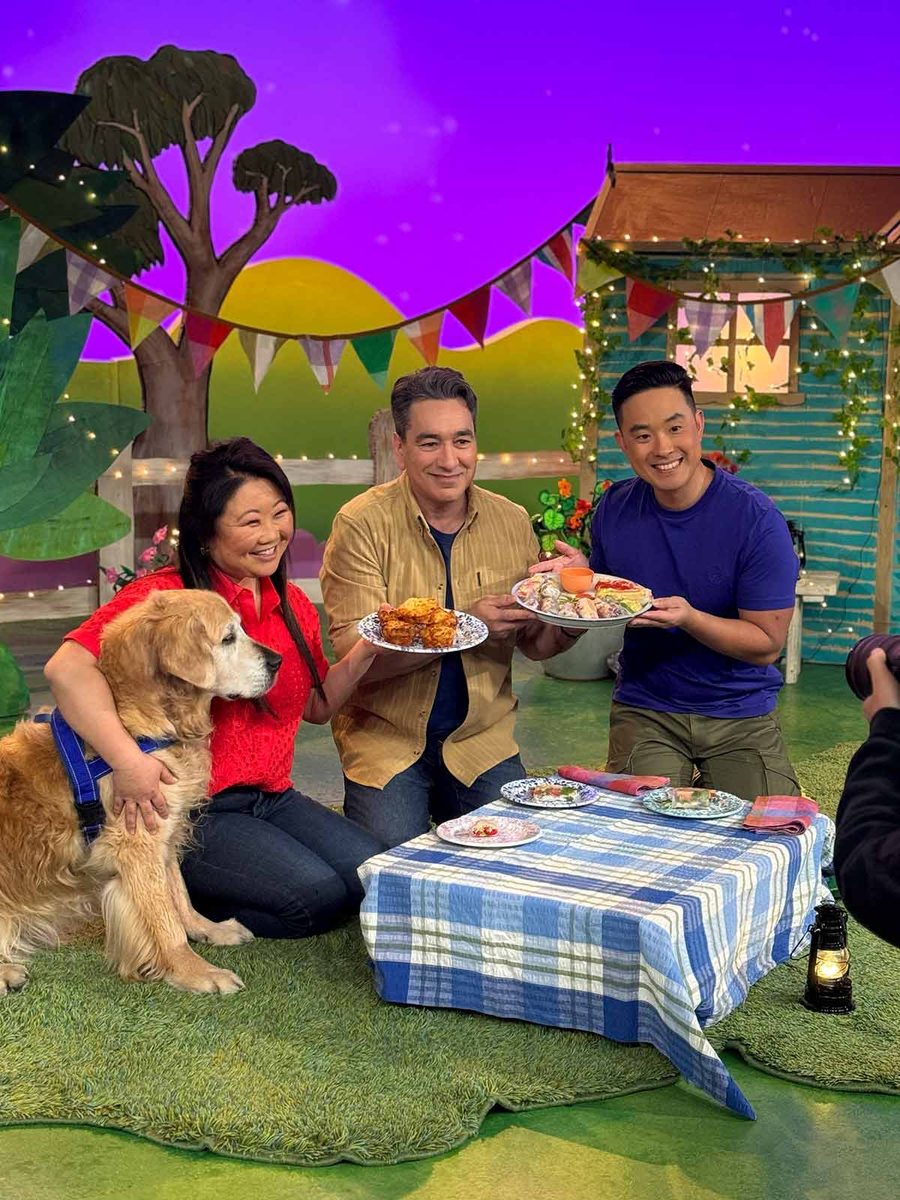 dozer-play-school-1