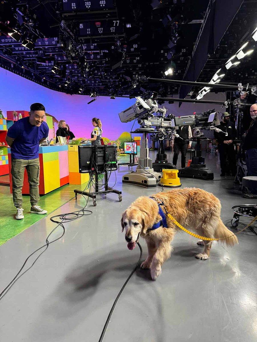 dozer-play-school-4