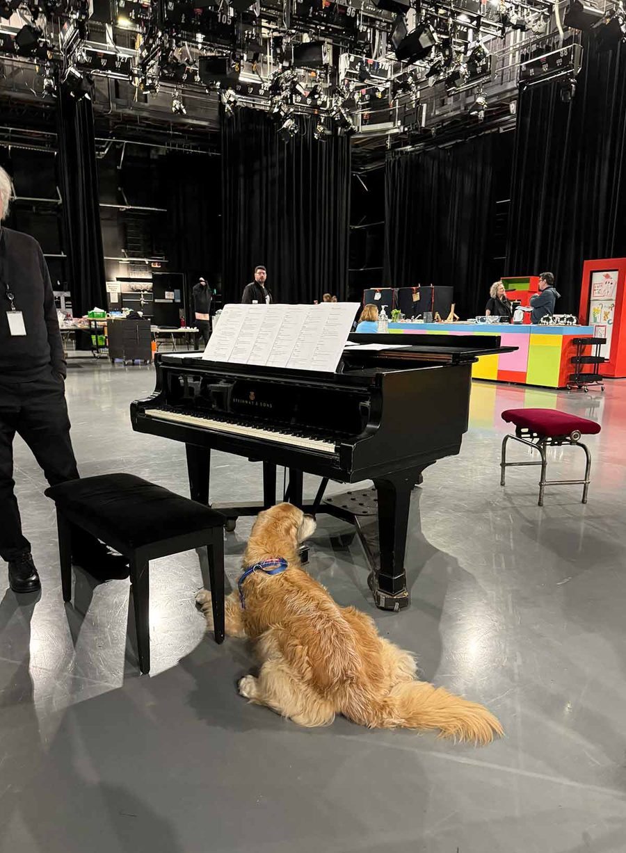 dozer-playschool-rehearsel