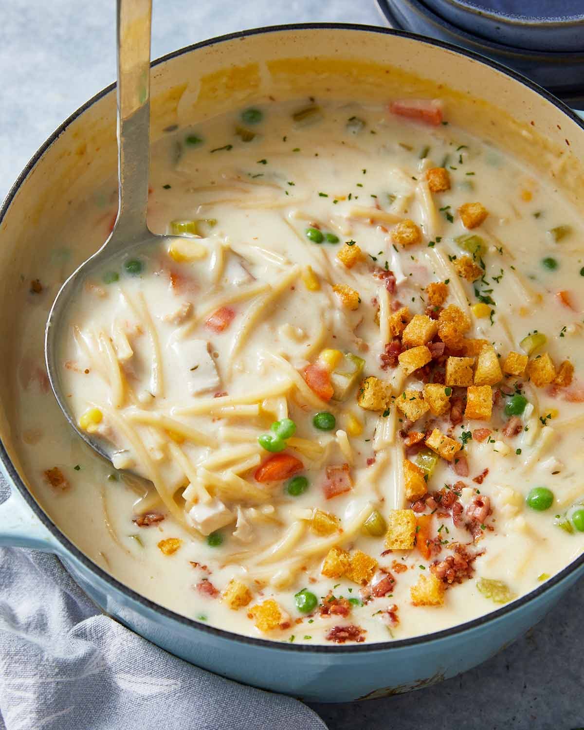 chicken-noodle-soup-51291 Pot of Creamy chicken noodle soup