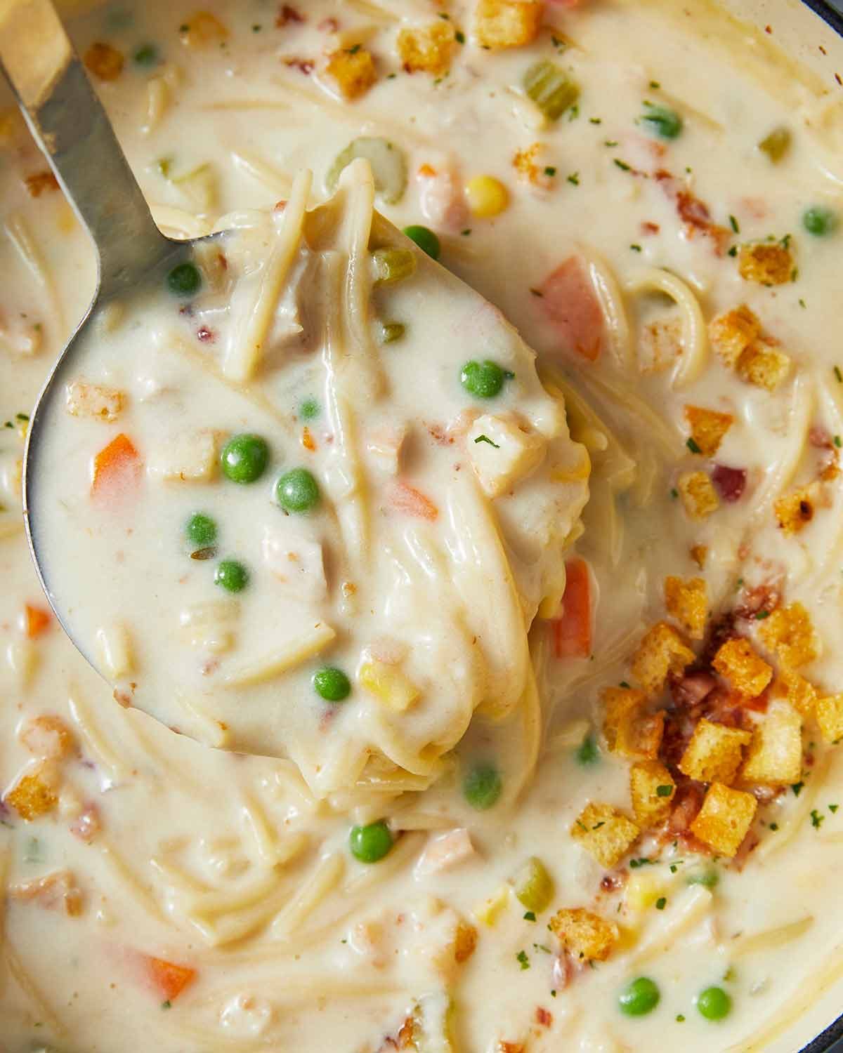 chicken-noodle-soup-51305 Serving Creamy chicken noodle soup
