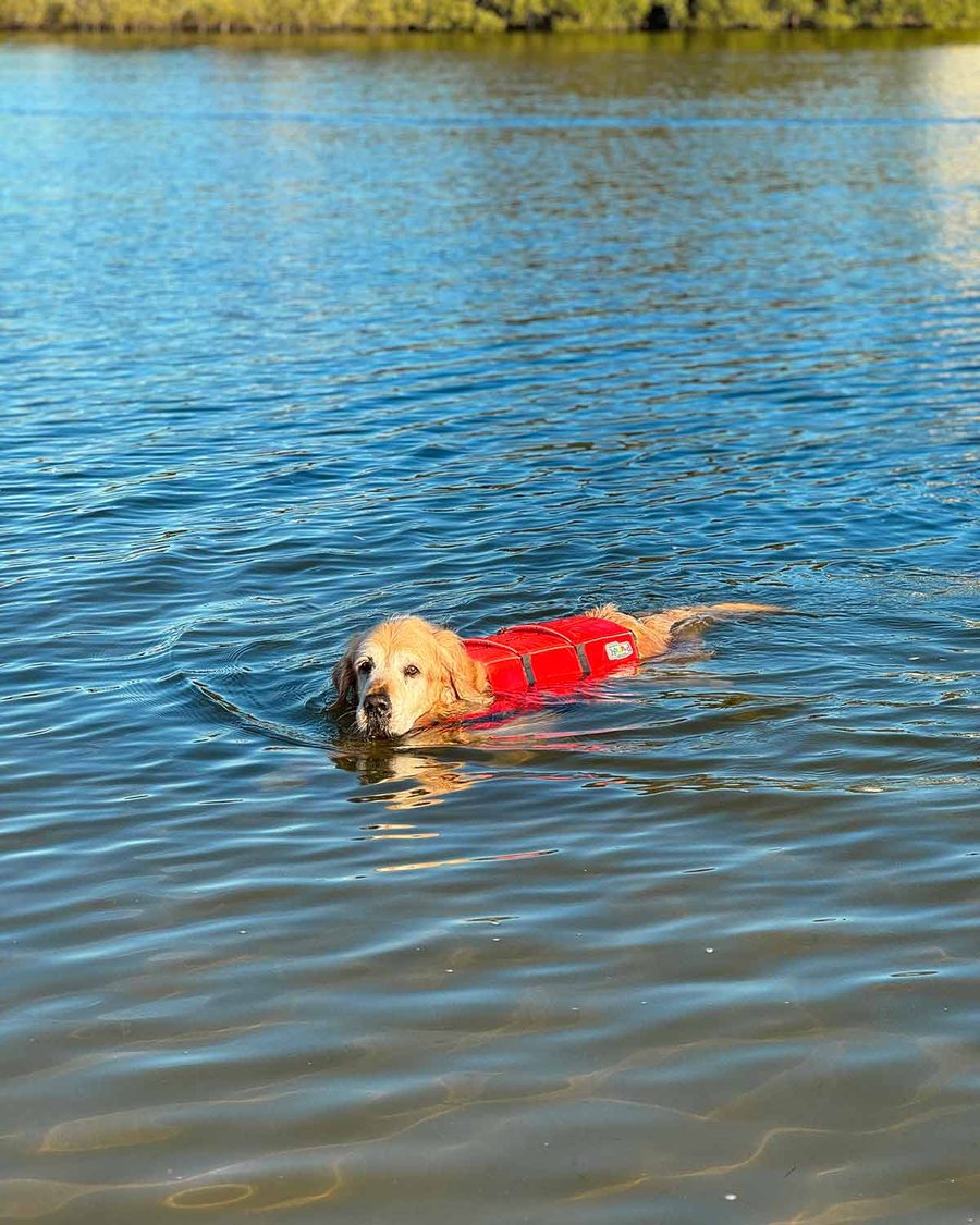 dozer-bayview-july-2024-swimming-life-jacket