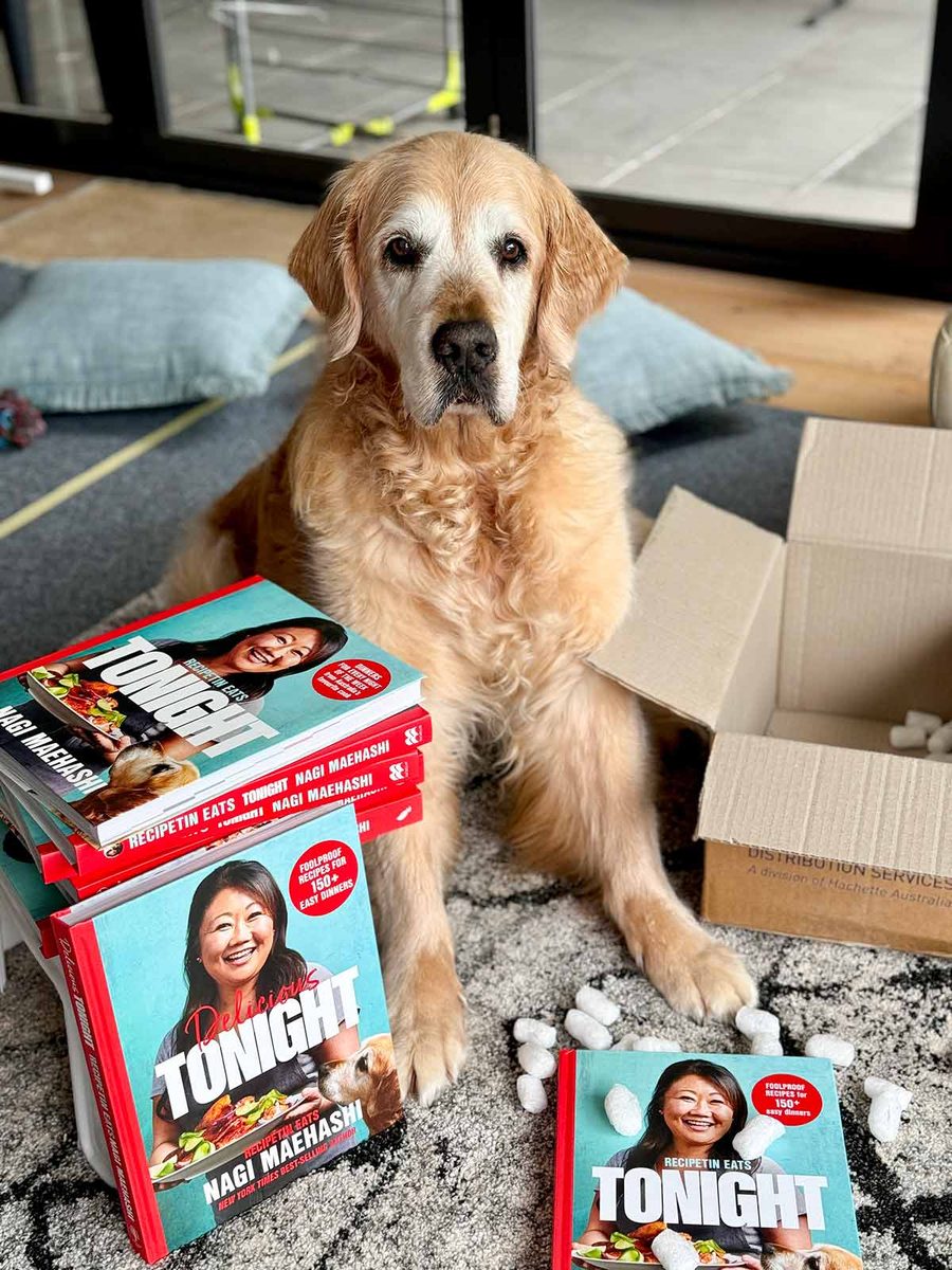 dozer-cant-believe-no-treats-in-book-box