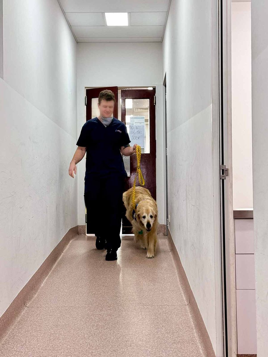 dozer-check-ups-august-2024-1