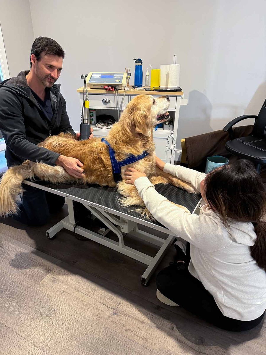 dozer-check-ups-august-2024-2
