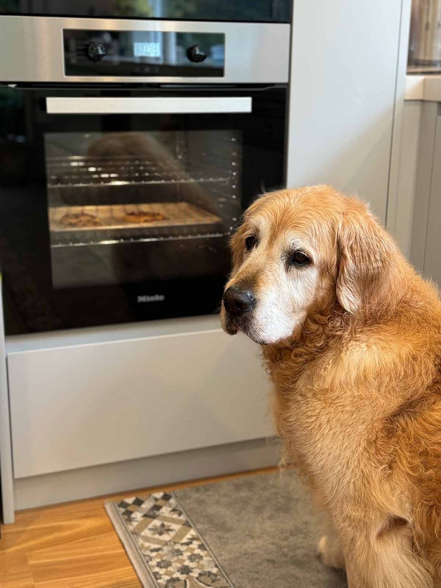 dozer-december-2024-2