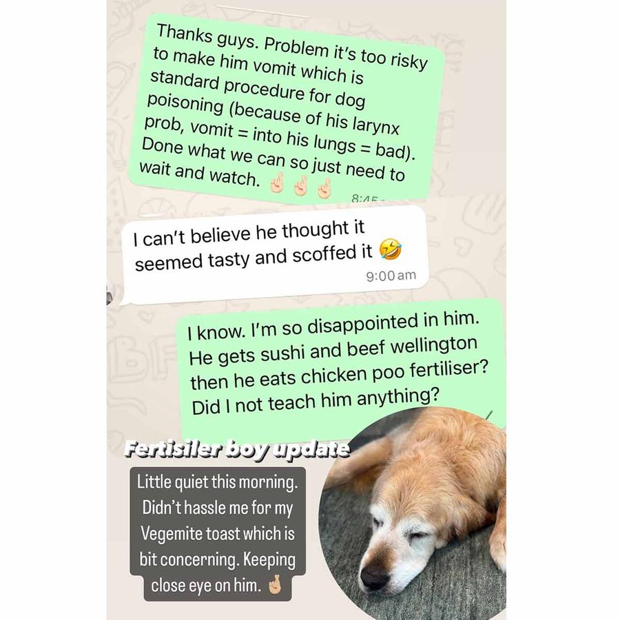 dozer-fertiliser-whatsapp-group-thread-1