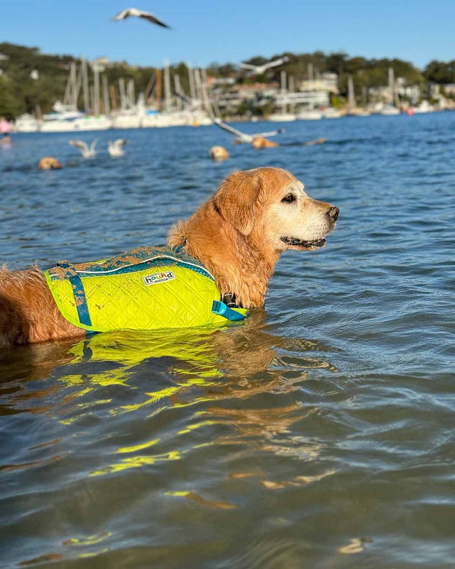 dozer-new-life-jacket-2