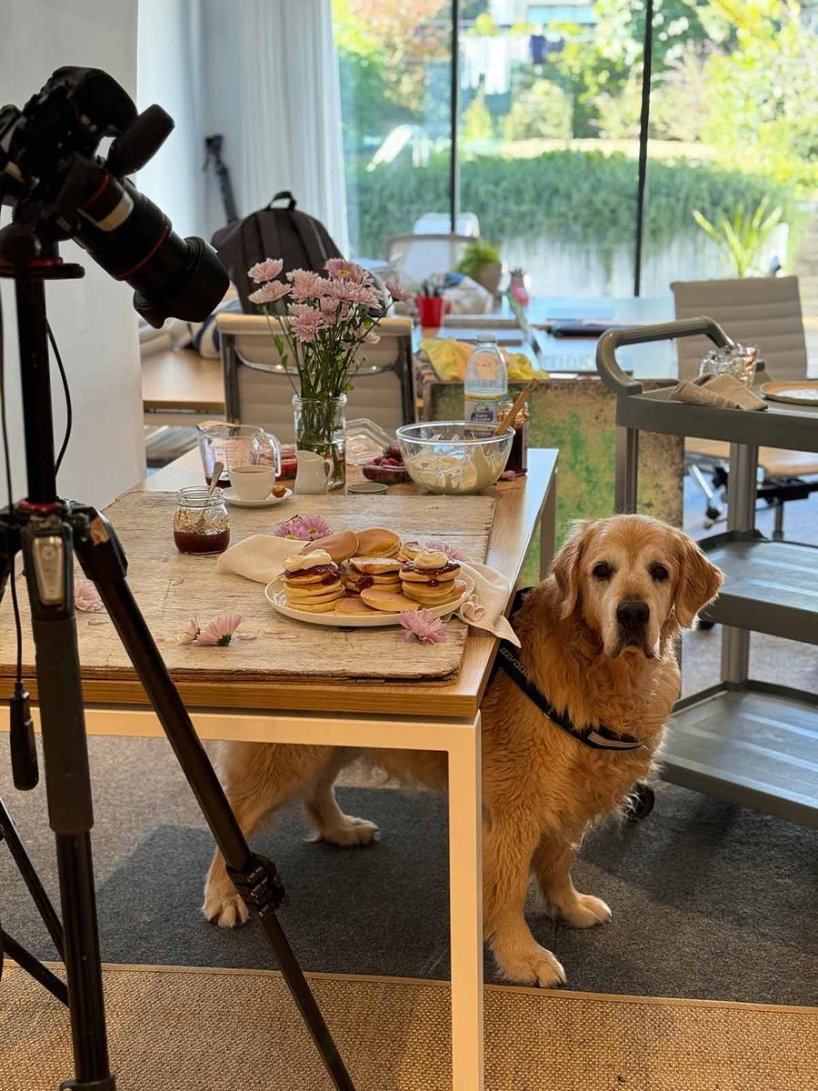 dozer-please-feed-me