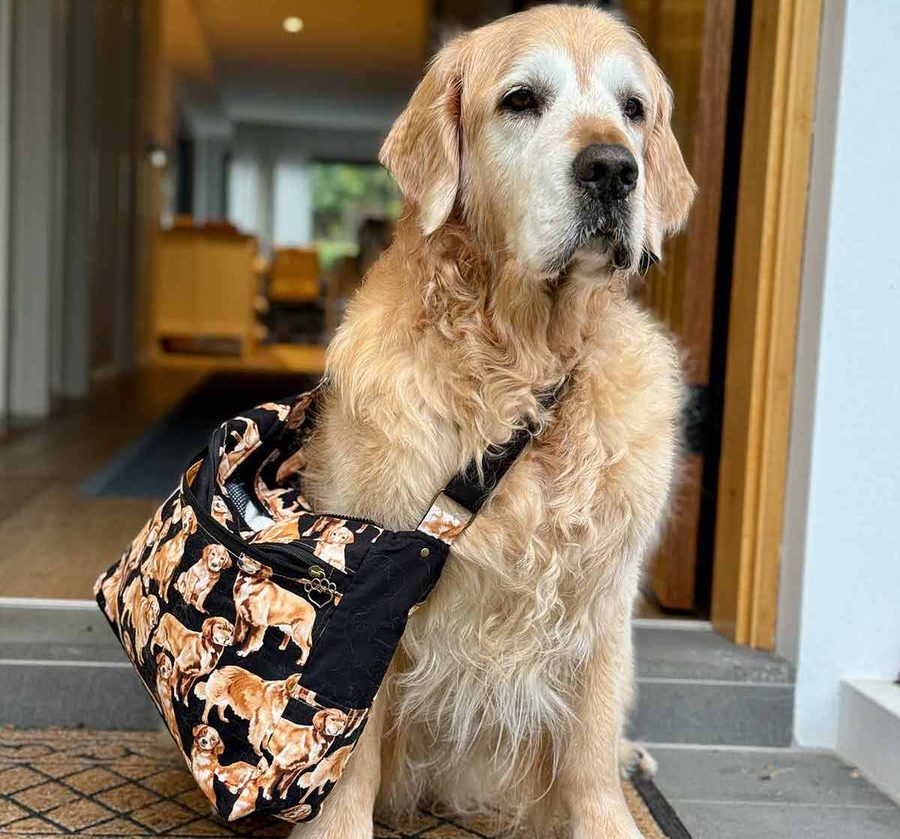 dozer-ready-to-travel