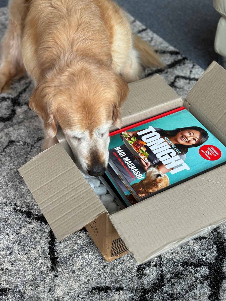 dozer-trying-to-find-food-in-the-box