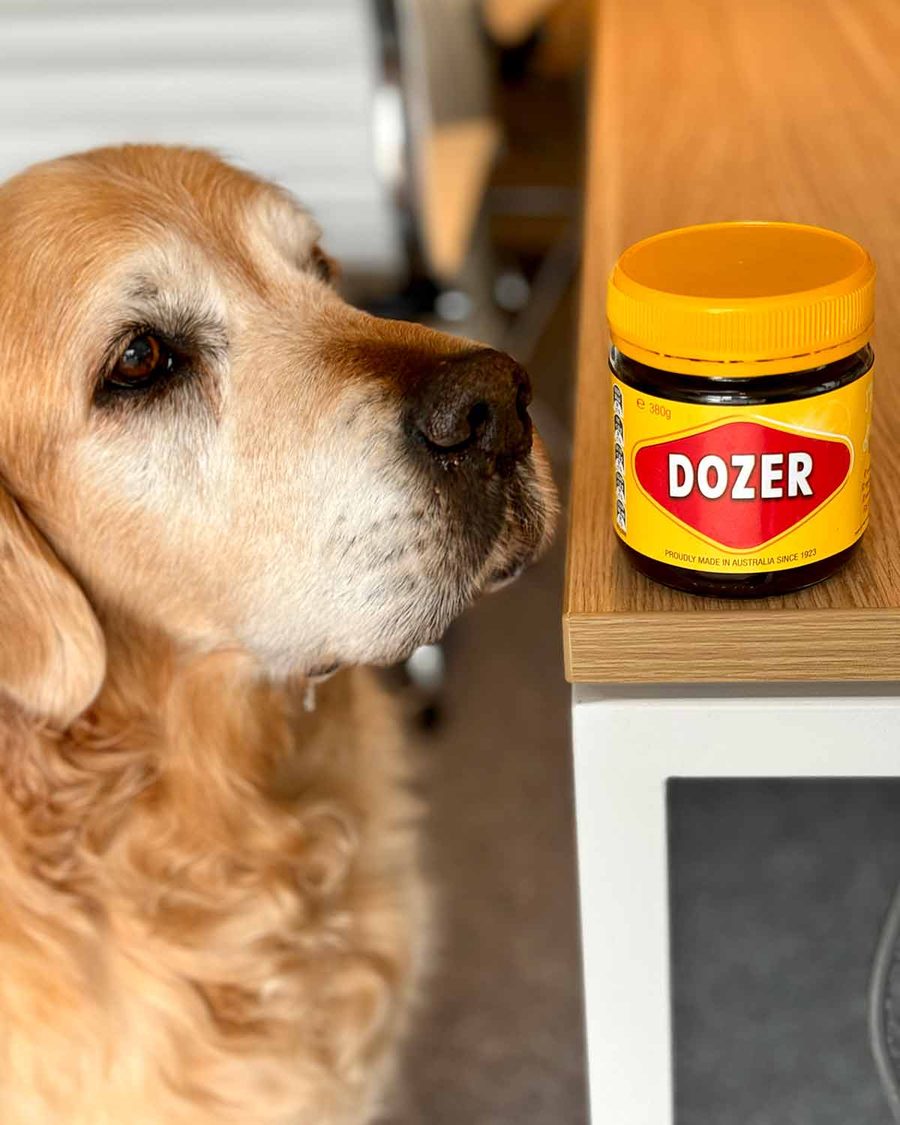 dozer-vegemite-jar
