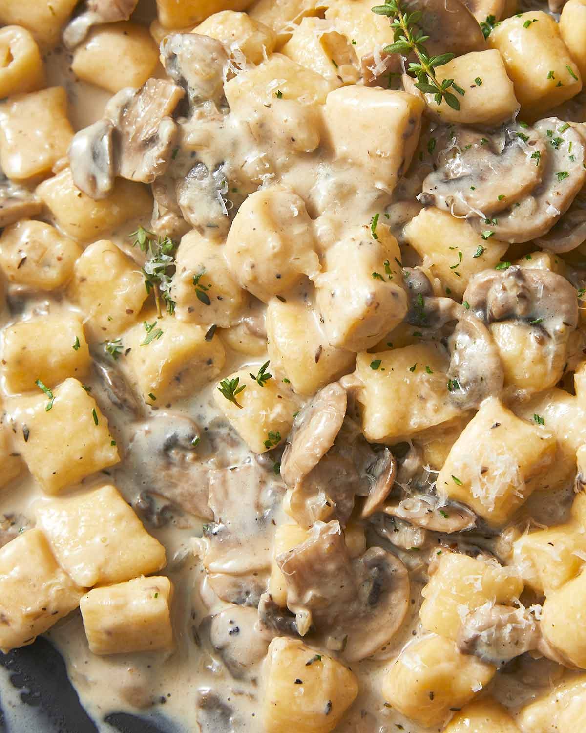 ricotta-gnocchi-51183 Close up of Ricotta gnocchi with creamy mushroom sauce