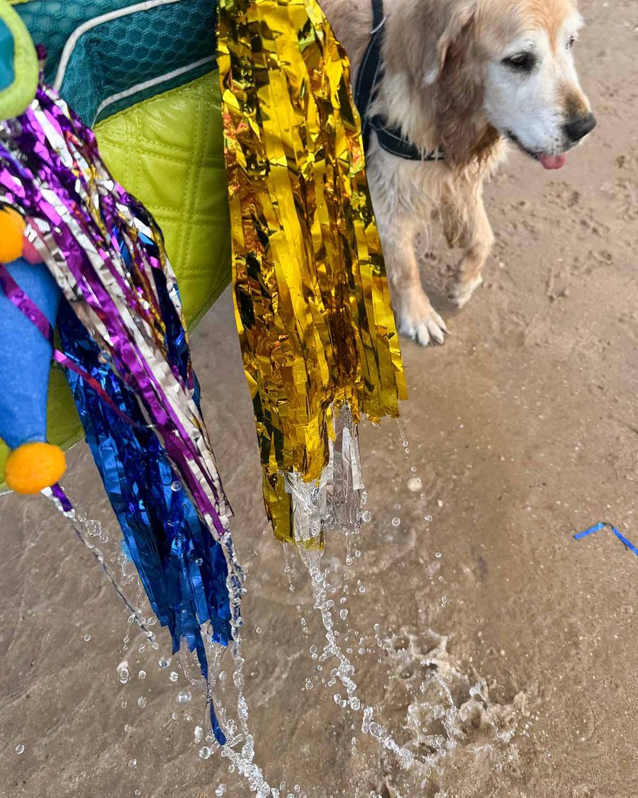 dozer-13th-birthday-at-bayview-2025-6