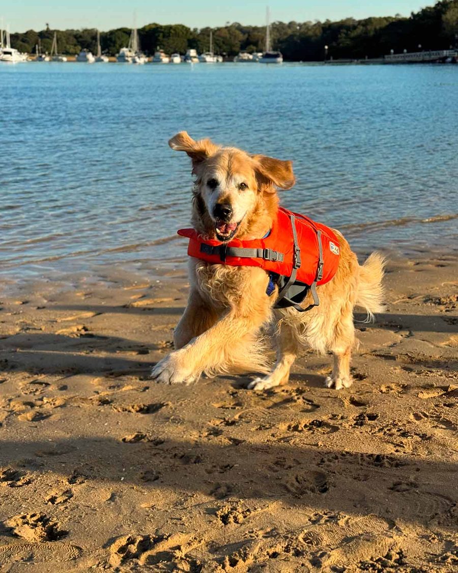 dozer-bayview-life-jacket-july-2024