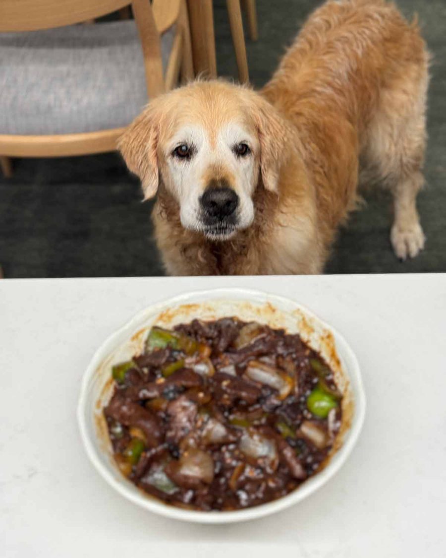 dozer-beef-and-black-bean