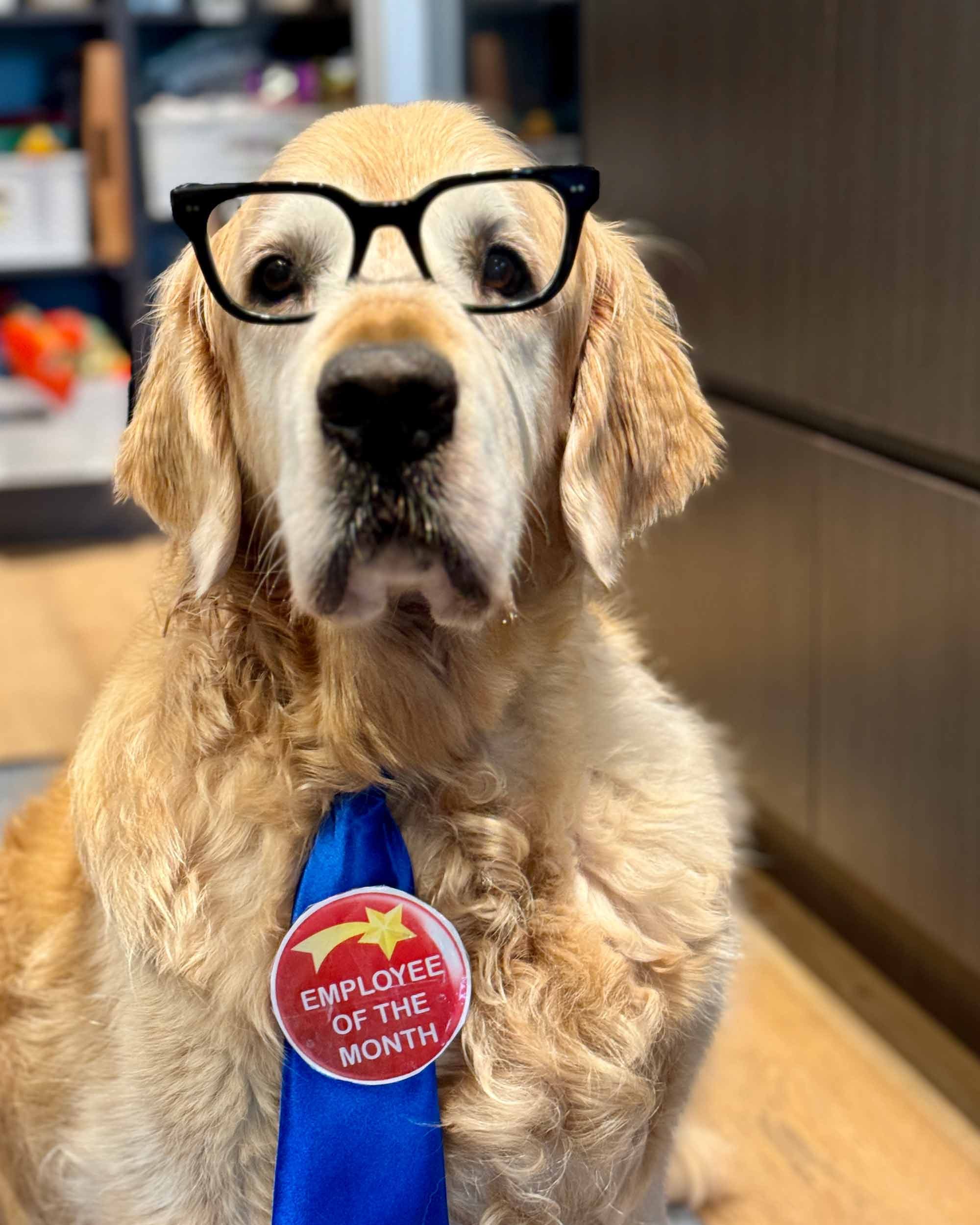 dozer-employee-of-the-month Dozer-employee-of-the-month