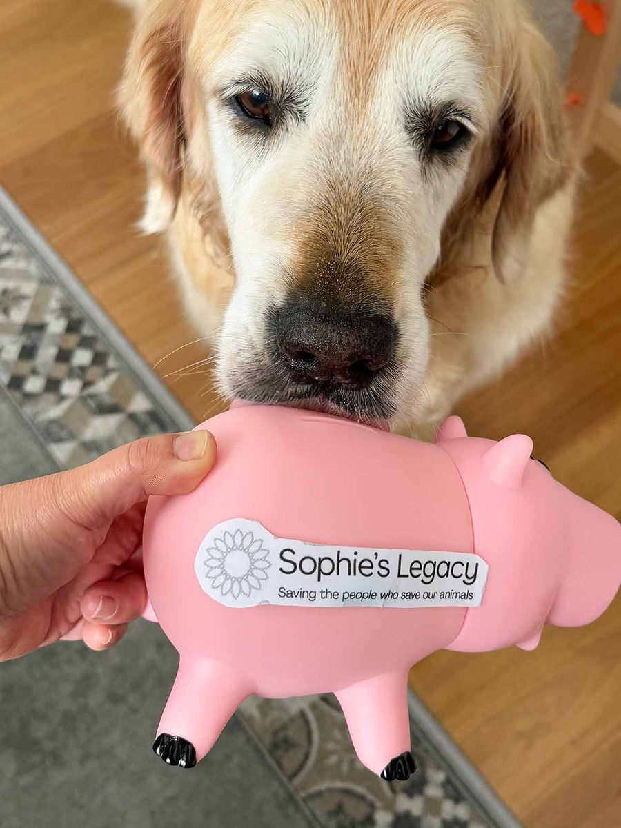 dozer-piggy-bank-sophies-legacy