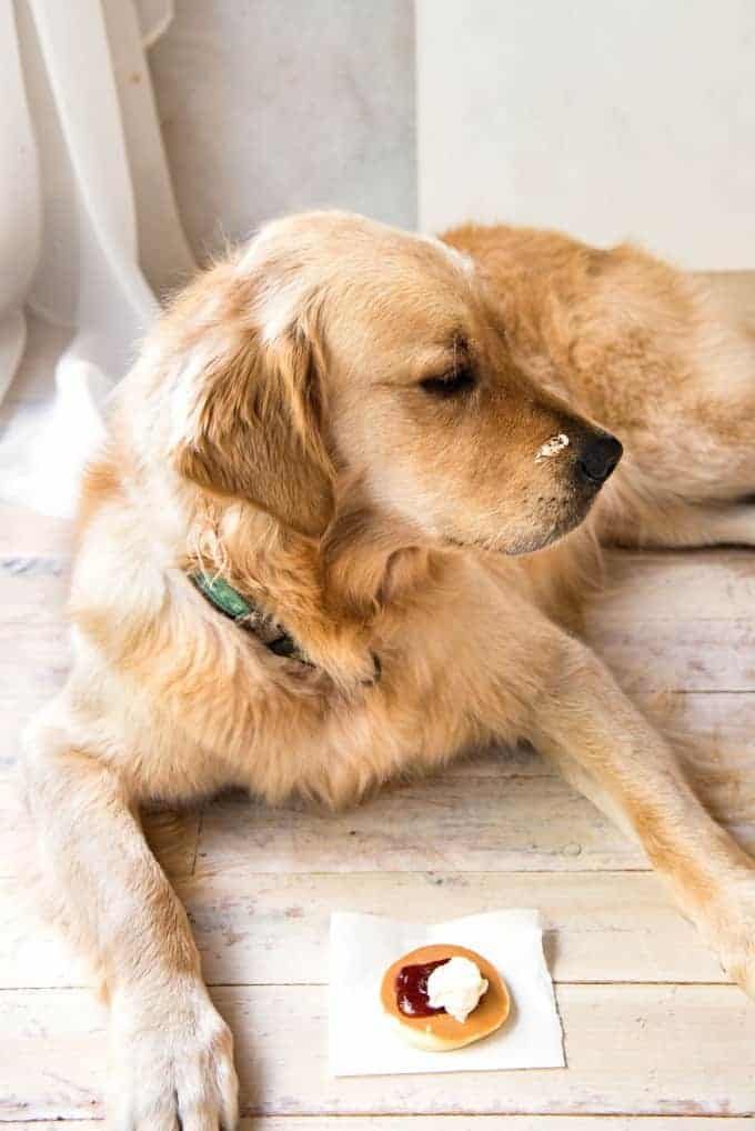 dozer-pikelets_1-680x1018-1 Dozer Pikelets_1