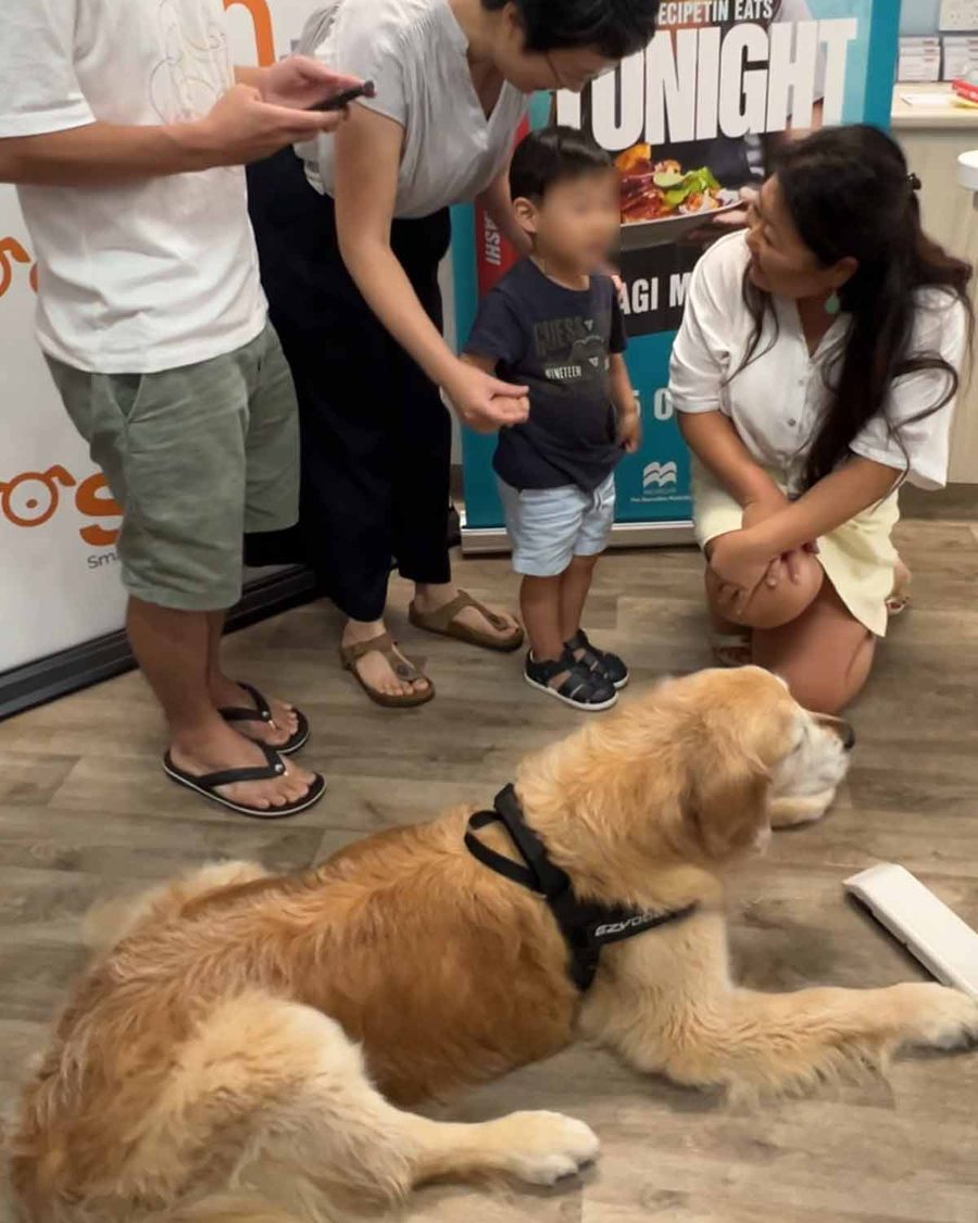 dozer-sash-sophies-legacy-photos-7