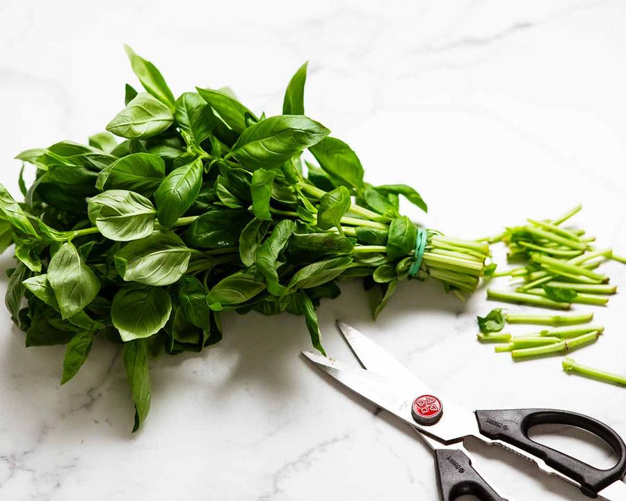 how-to-store-basil_3
