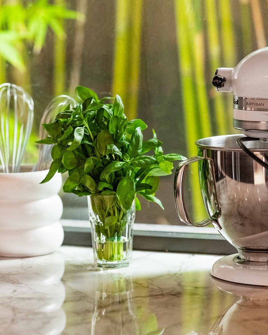 how-to-store-basil_4