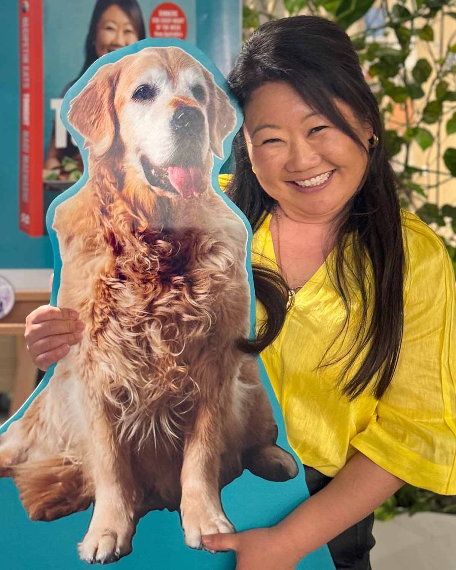 nagi-dozer-cutout-adelaide-1 Nagi Dozer cutout Adelaide