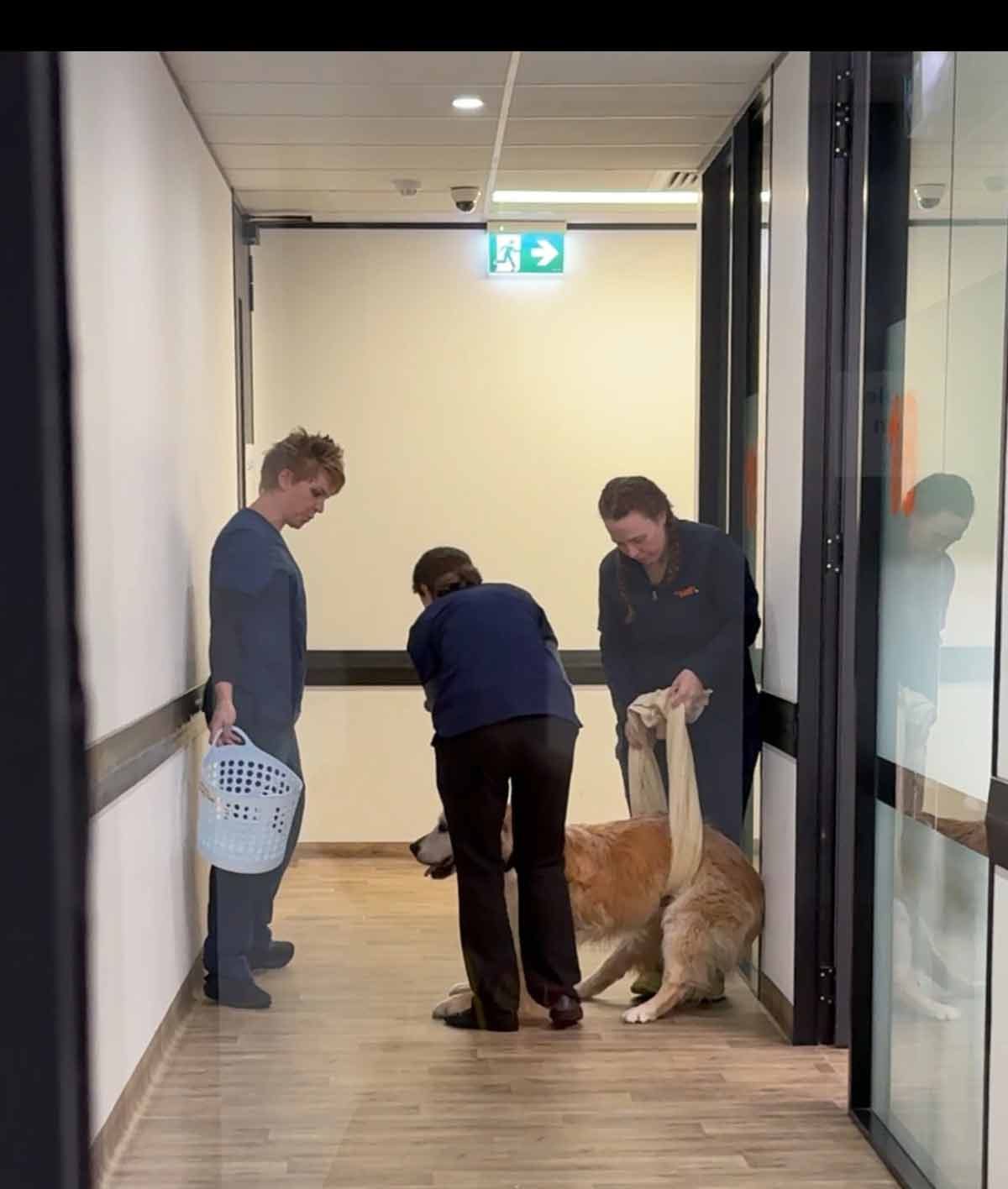 dozer-gulping-problem-1