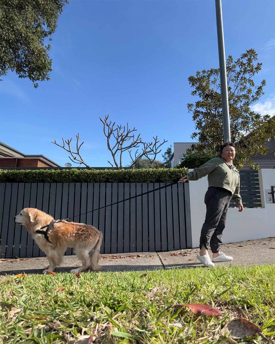 dozer-nagi-going-in-opposite-directions