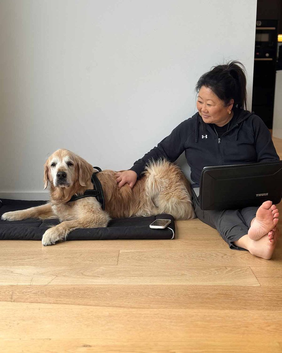 dozer-nagi-move-day-2