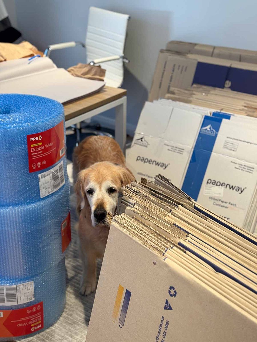 dozer-on-the-move-kemp-st