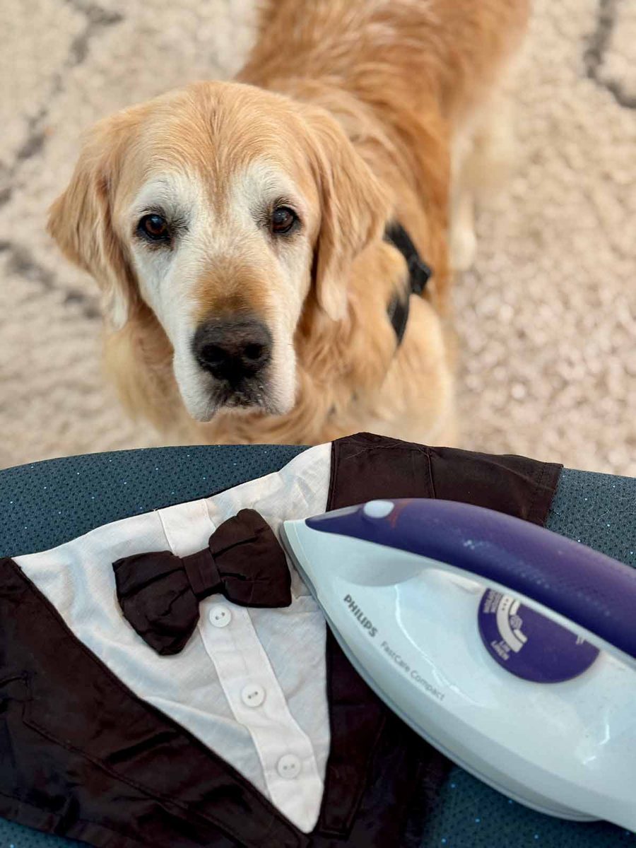 dozer-tux-fitting-mum-cha-1