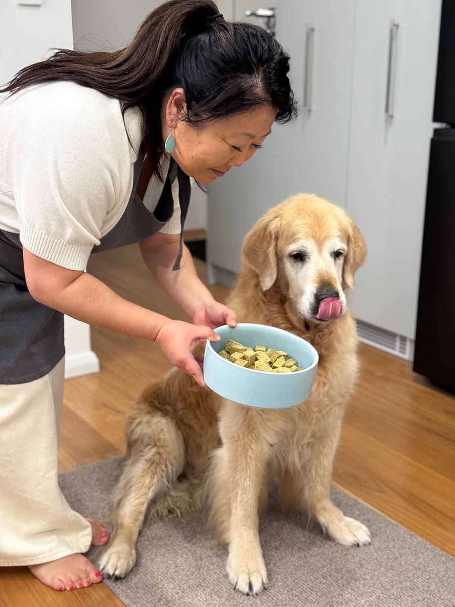 nagi-giving-dozer-food