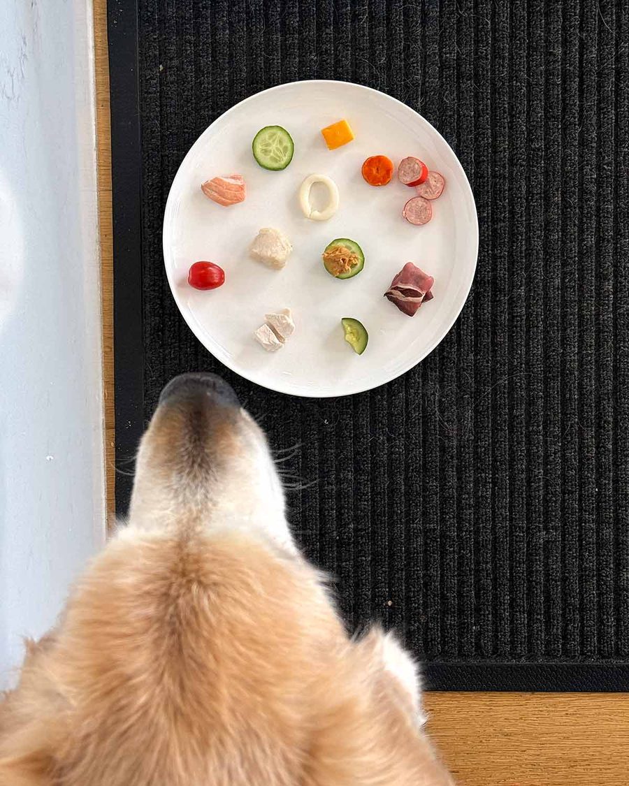 what-dozer-likes-to-eat-2