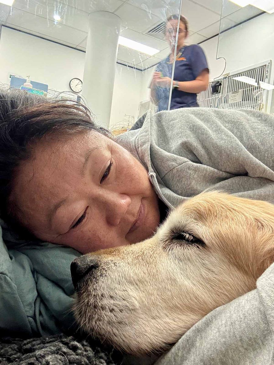 dozer-nagi-at-sash-ryde-january-2026