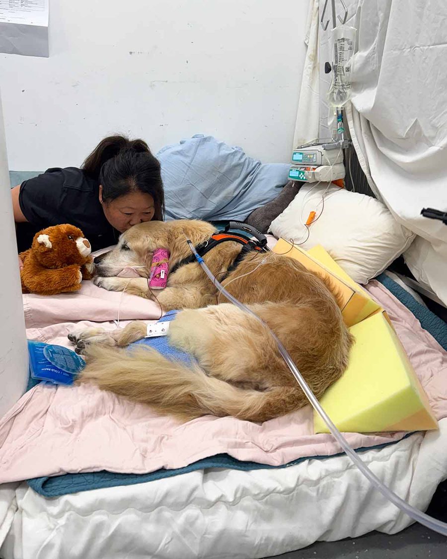 nagi-kissing-dozer-jan-2026-sash