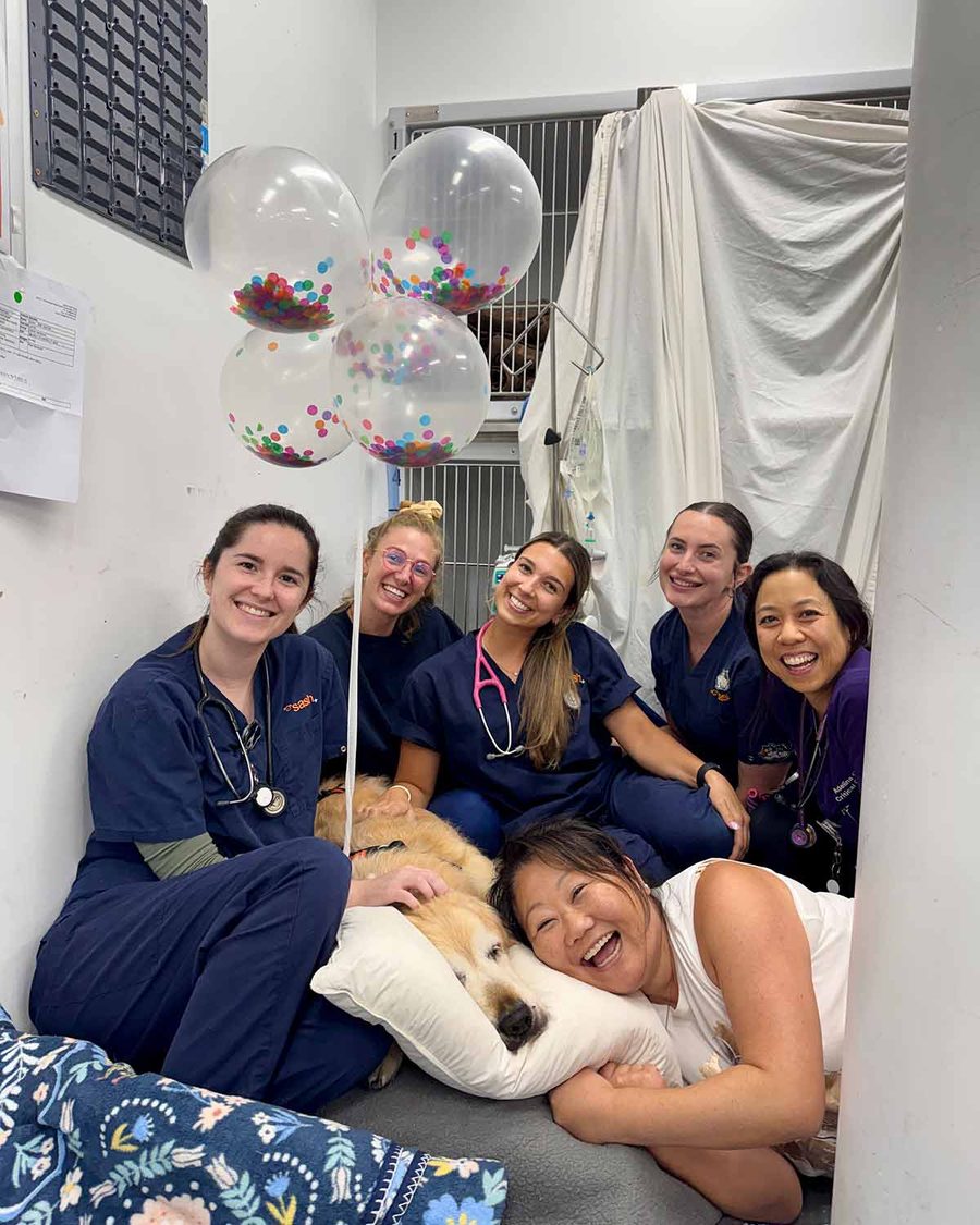 release-day-celebration